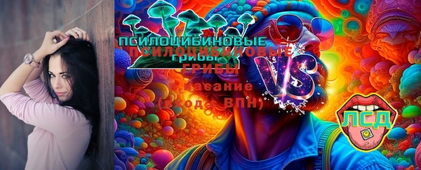 гашиш Богданович